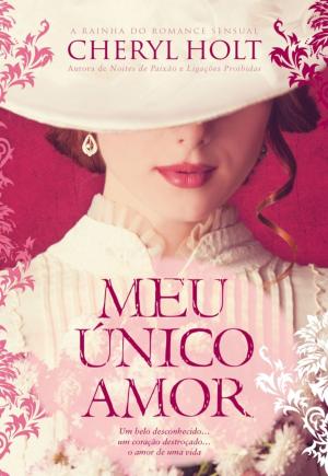 Book cover of Meu Único Amor