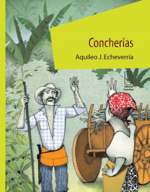 Cover of the book Concherías by José Ricardo Chaves