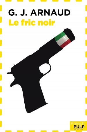 Cover of the book Le fric noir by Alain Leblanc