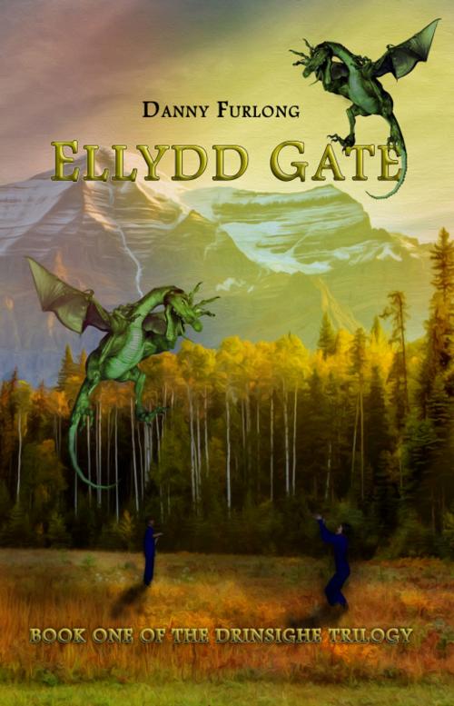 Cover of the book Ellydd Gate by Danny Furlong, DJ Publishing