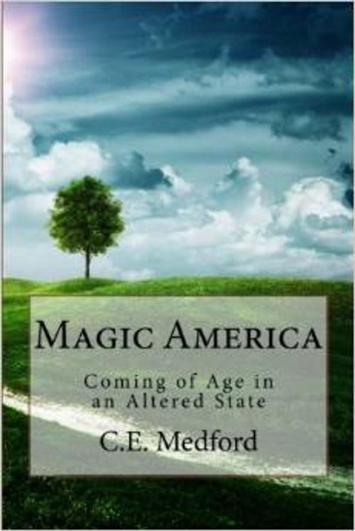 Cover of the book Magic America by C.E. Medford, Cynthia Enid Medford Wilson