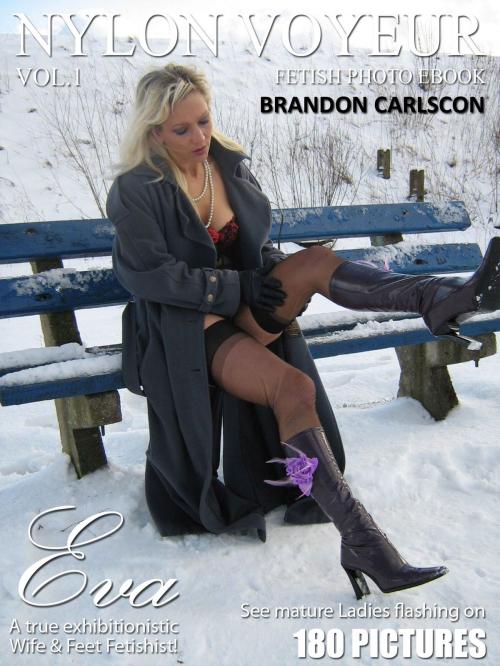 Cover of the book Nylon Voyeur by Brandon Carlscon, Digital Media