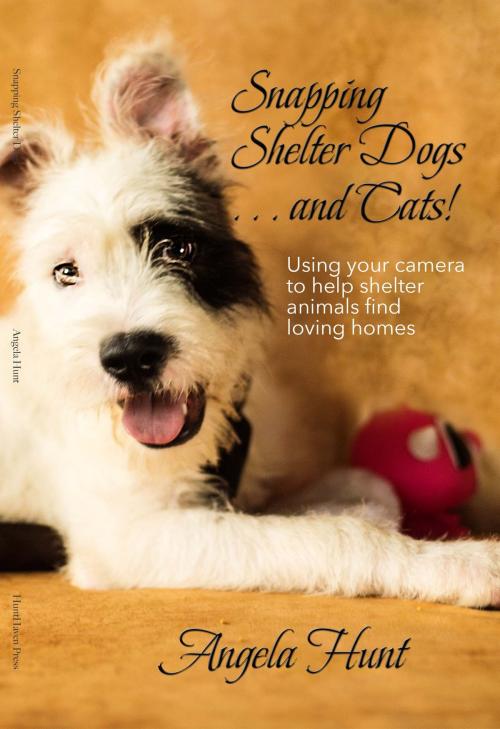 Cover of the book Snapping Shelter Dogs . . . and Cats! by Angela Hunt, Hunt Haven Press