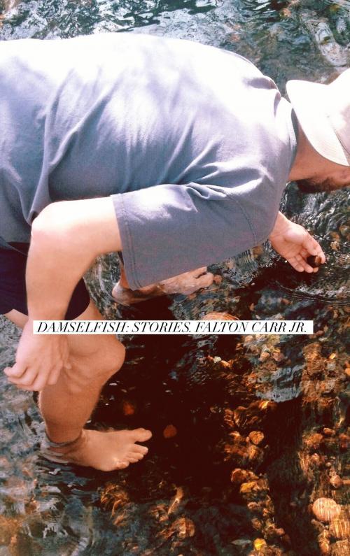 Cover of the book Damselfish: Stories by Falton Carr Jr., Falton Carr Jr.