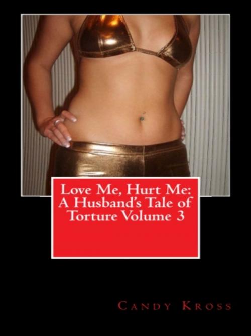 Cover of the book Love Me, Hurt Me: A Husband's Tale of Torture Volume 3 by Candy Kross, Vince Stead