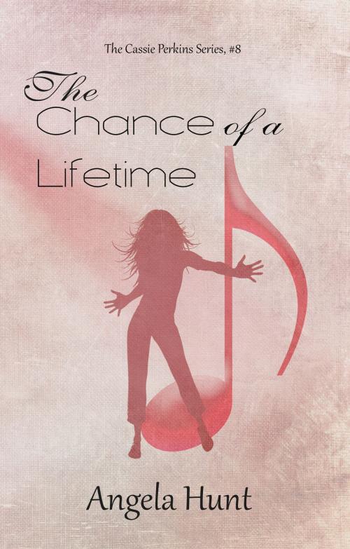 Cover of the book The Chance of a Lifetime by Angela Hunt, Hunt Haven Press