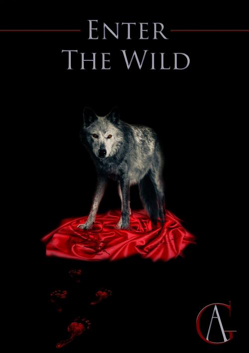 Cover of the book Enter The Wild by A G, AG