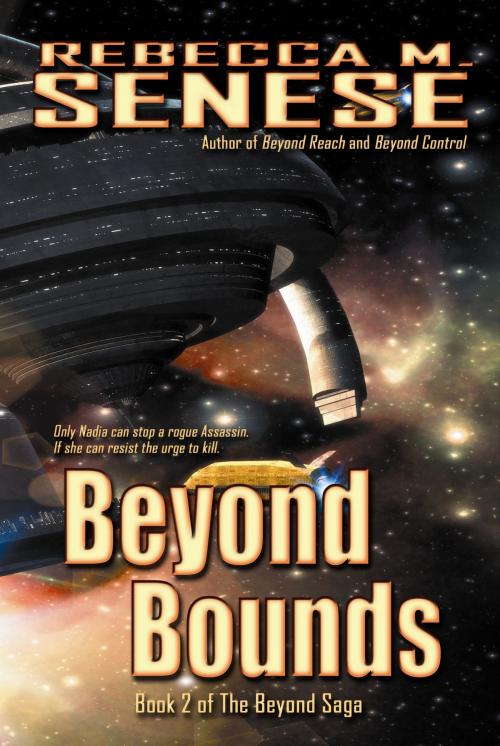 Cover of the book Beyond Bounds: Book 2 of the Beyond Saga by Rebecca M. Senese, RFAR Publishing