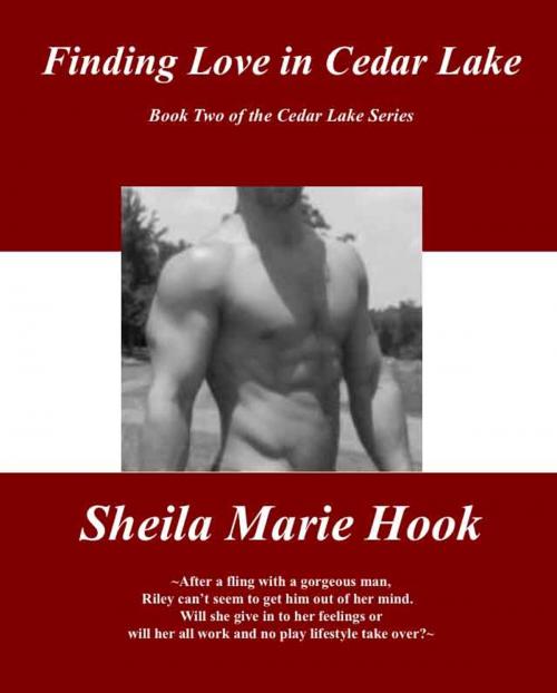 Cover of the book Finding Love in Cedar Lake by Sheila Marie Hook, Sheila Marie Hook