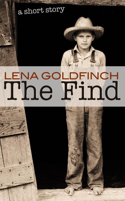 Cover of the book The Find by Lena Goldfinch, Indigo Road Publishing
