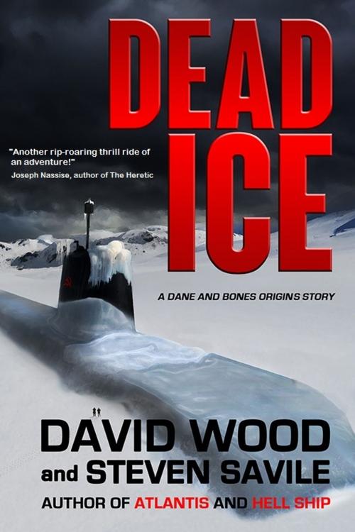 Cover of the book Dead Ice by David Wood, Gryphonwood Press