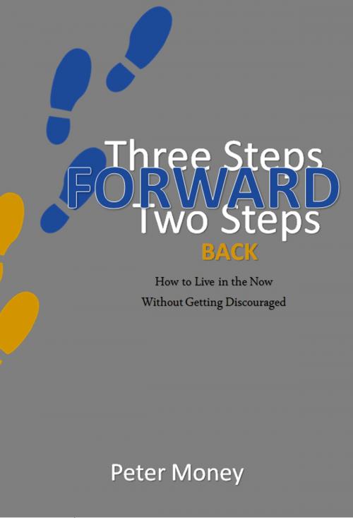 Cover of the book Three Steps Forward, Two Steps Back by Peter Money, pdm products co.