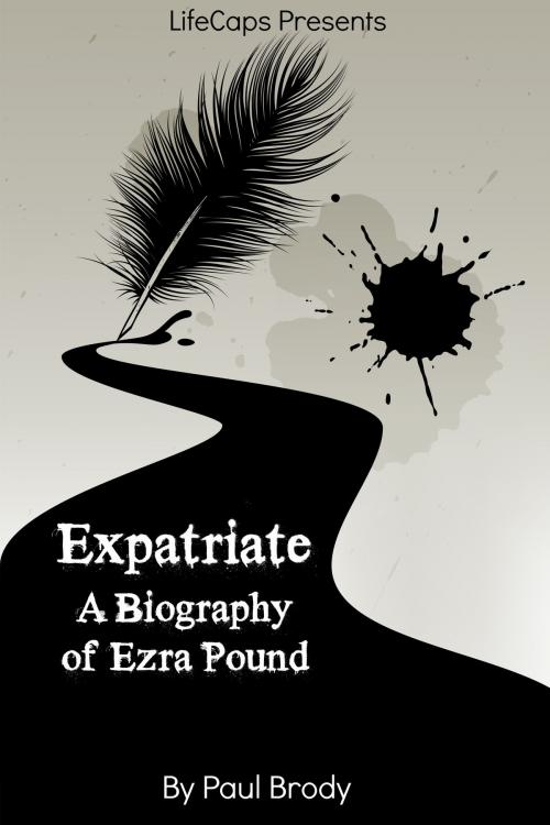 Cover of the book Expatriate by Paul Brody, BookCaps Study Guides