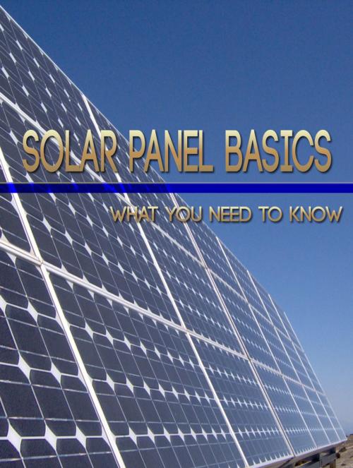 Cover of the book Solar Panel Basics by Anonymous, Consumer Oriented Ebooks Publisher