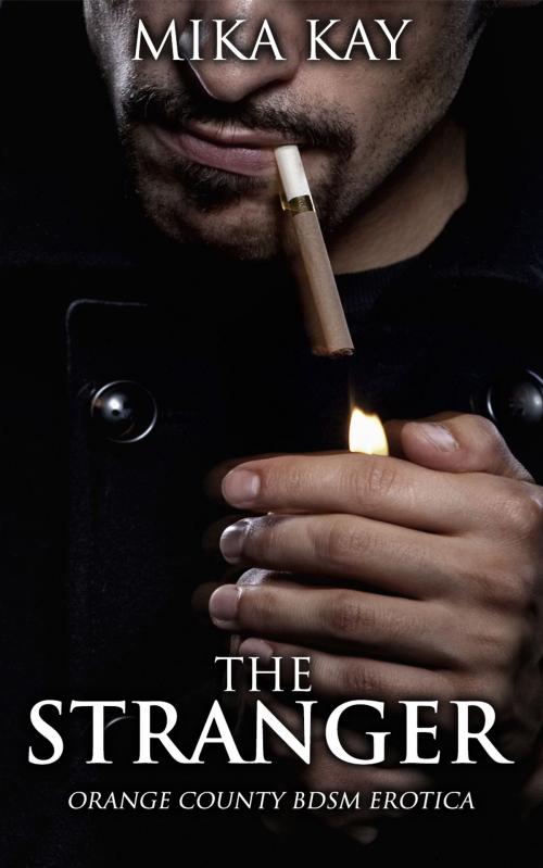 Cover of the book The Stranger by Mika Kay, Mika Kay