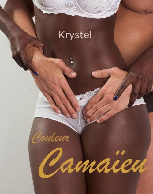Cover of the book Couleur Camaïeu by Krystel, eTechs & compagnie