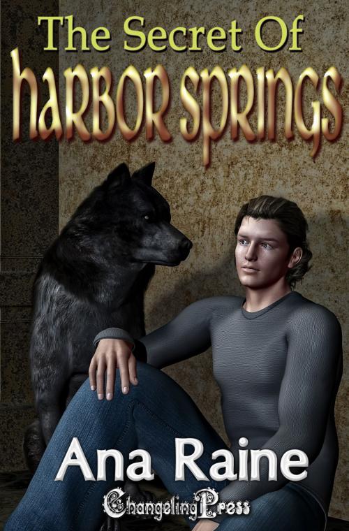 Cover of the book The Secret of Harbor Springs (Hidden Oaks 2) by Ana Raine, Changeling Press LLC