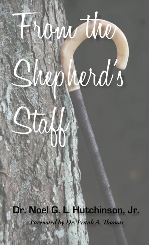Cover of the book From the Shepherd's Staff by Noel Hutchinson, RiverHouse Publishing, LLC