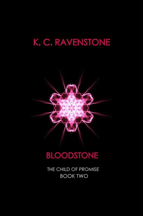 Cover of the book Bloodstone by Karl Ravenstone, K C Ravenstone