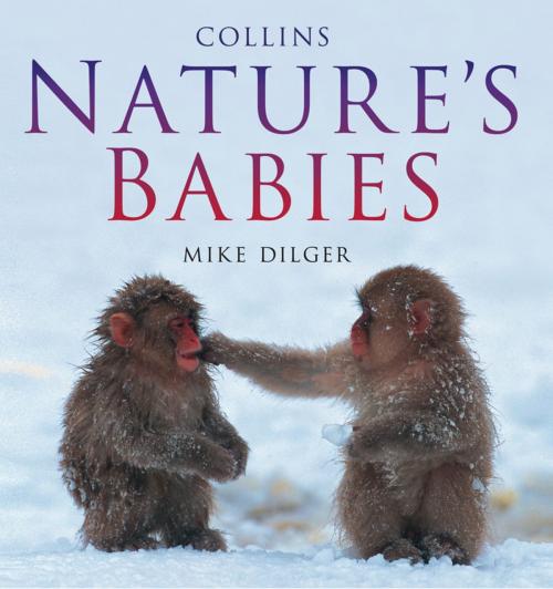 Cover of the book Nature’s Babies by Mike Dilger, HarperCollins Publishers