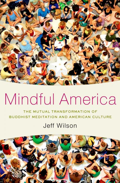 Cover of the book Mindful America by Jeff Wilson, Oxford University Press