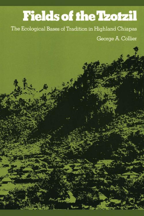 Cover of the book Fields of the Tzotzil by George A. Collier, University of Texas Press