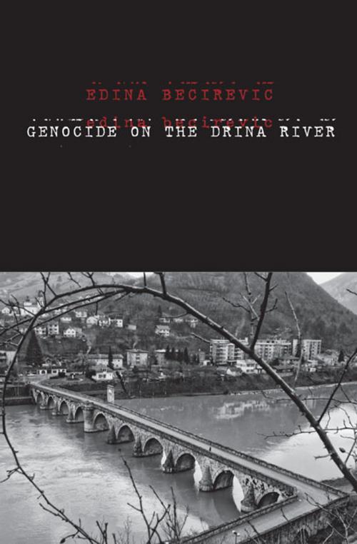 Cover of the book Genocide on the Drina River by Ms. Edina Becirevic, Yale University Press