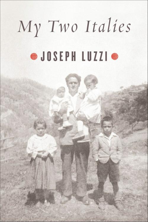 Cover of the book My Two Italies by Joseph Luzzi, Farrar, Straus and Giroux