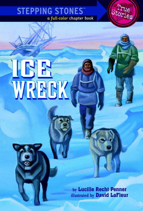 Cover of the book Ice Wreck by Lucille Recht Penner, Random House Children's Books