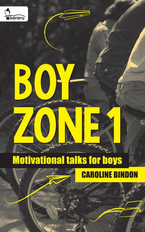 Cover of the book Boy Zone 1 by Caroline Bindon, Kereru Publishing Limited