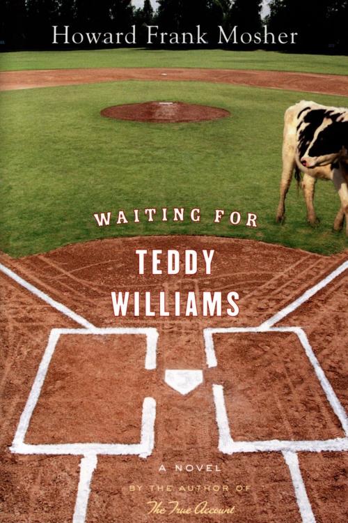 Cover of the book Waiting for Teddy Williams by Howard Frank Mosher, HMH Books