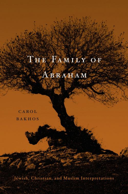 Cover of the book The Family of Abraham by Carol Bakhos, Harvard University Press