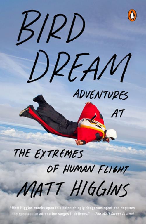 Cover of the book Bird Dream by Matt Higgins, Penguin Publishing Group