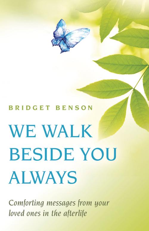 Cover of the book We Walk Beside You Always by Bridget Benson, Llewellyn Worldwide, LTD.