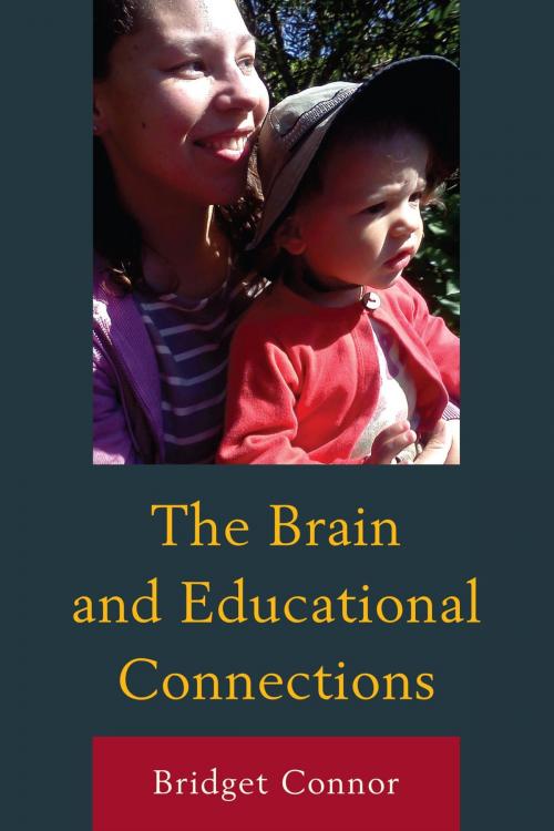 Cover of the book The Brain and Educational Connections by Bridget Connor, UPA