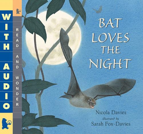 Cover of the book Bat Loves the Night by Nicola Davies, Candlewick Press