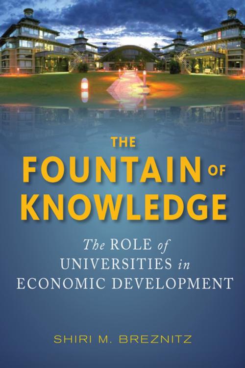 Cover of the book The Fountain of Knowledge by Shiri M. Breznitz, Stanford University Press