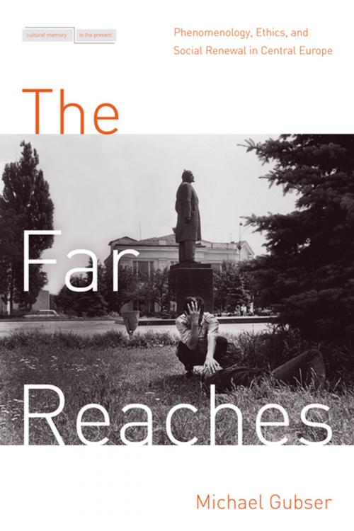 Cover of the book The Far Reaches by Michael D. Gubser, Stanford University Press