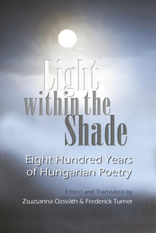 Cover of the book Light within the Shade by , Syracuse University Press