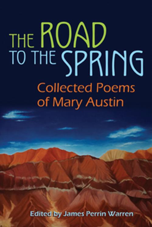 Cover of the book The Road to the Spring by , Syracuse University Press