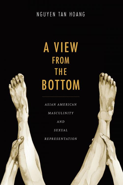 Cover of the book A View from the Bottom by Tan Hoang Nguyen, Duke University Press