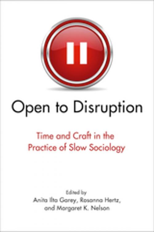 Cover of the book Open to Disruption by , Vanderbilt University Press