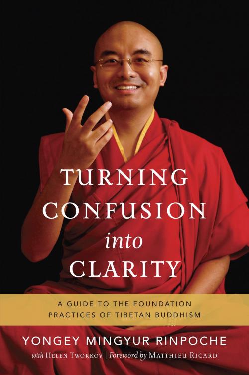 Cover of the book Turning Confusion into Clarity by Helen Tworkov, Yongey Mingyur Rinpoche, Shambhala