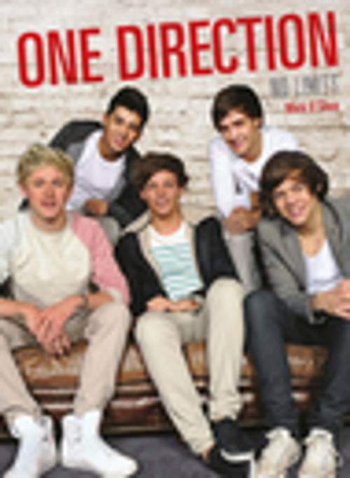 Cover of the book One Direction by Mick O'Shea, Plexus Publishing Ltd.