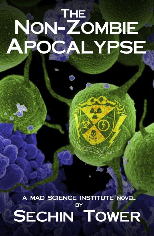Cover of the book The Non-Zombie Apocalypse by Sechin Tower, Sechin Tower