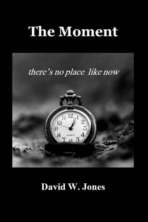 Cover of the book The Moment: there is no place like now by David W. Jones, The Moment