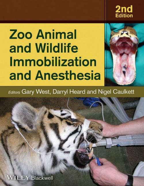 Cover of the book Zoo Animal and Wildlife Immobilization and Anesthesia by , Wiley