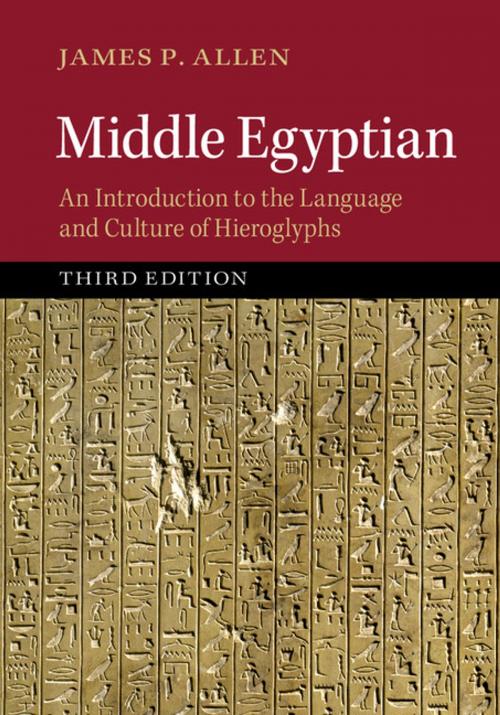 Cover of the book Middle Egyptian by James P. Allen, Cambridge University Press