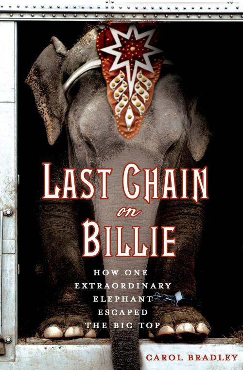 Cover of the book Last Chain On Billie by Carol Bradley, St. Martin's Press