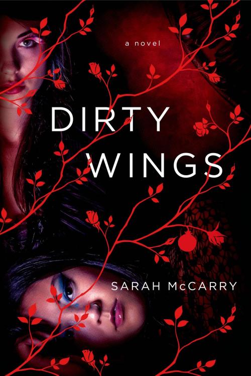 Cover of the book Dirty Wings by Sarah McCarry, St. Martin's Press